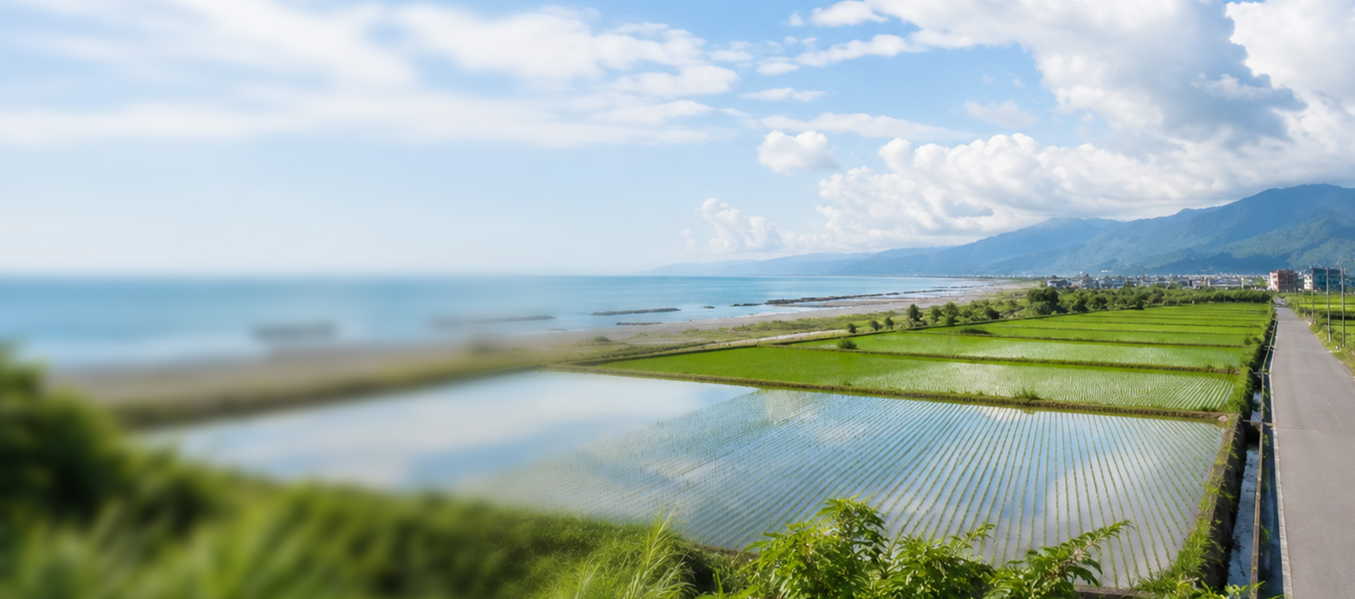 壯圍鄉民宿與周邊風景